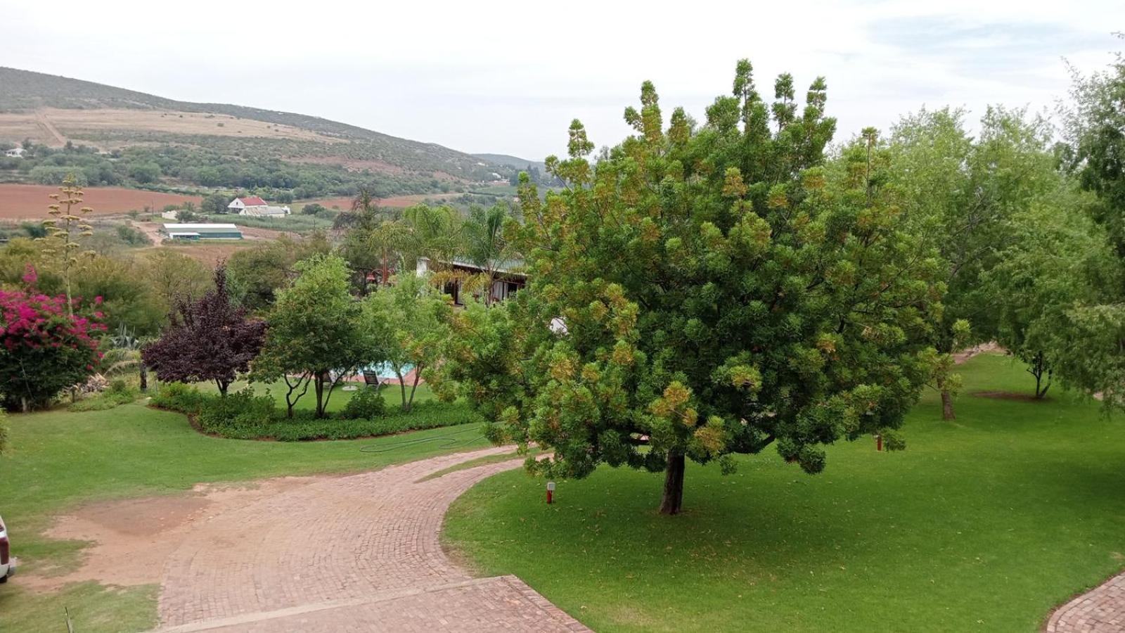 Kranskloof Country Lodge Oudtshoorn Exterior foto